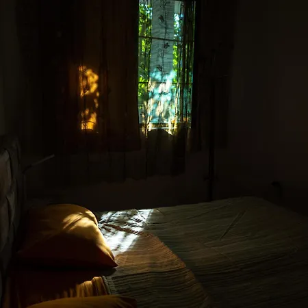 Apartment Cozy In A Tirana